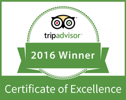 TripAdvisor Pub Crawl Zagreb